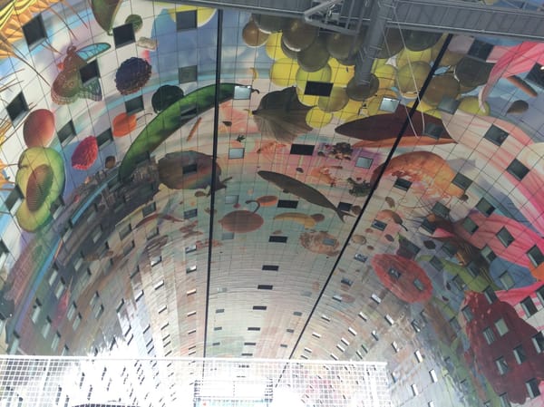 Rotterdam: A Day Guide: photo 6