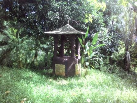 Paradise Ranch: Conservation Park in Clark Pampanga, Philippines: photo 26