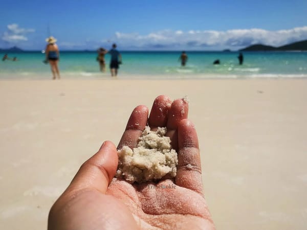 Hamilton Island: A Paradise Down Under: photo 2