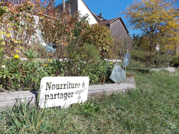 A visual journey of the French countryside: Valley of Munster: photo 14