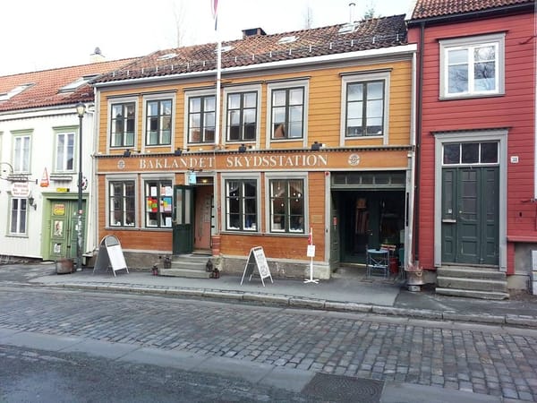 Trondheim, Norway: Northern lights and dog-sledding: photo 7