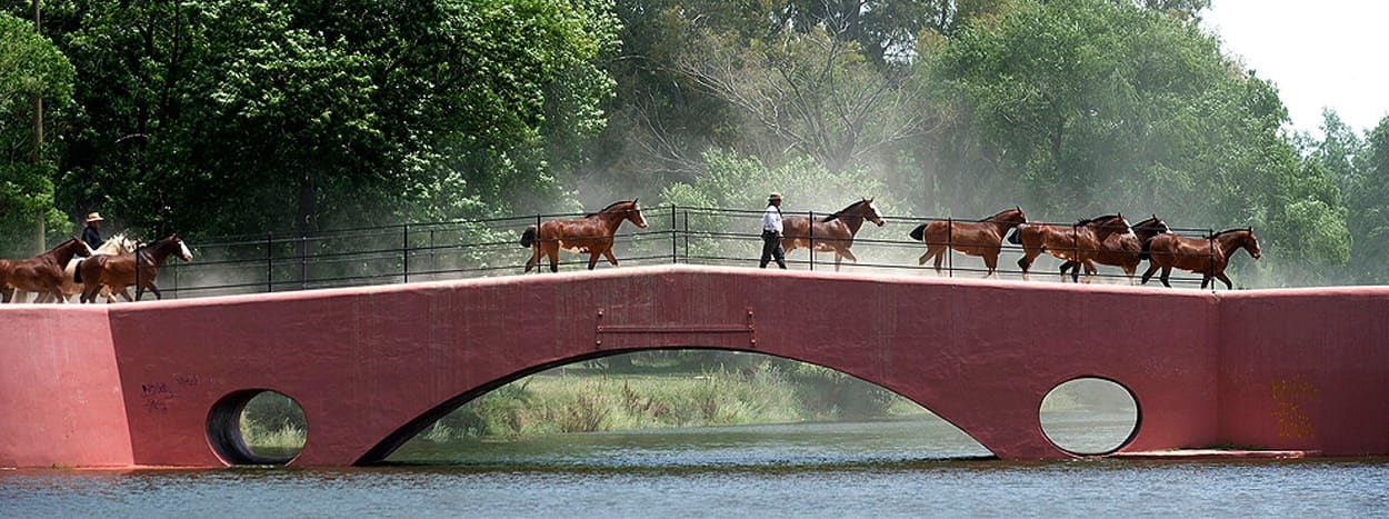 Get a Taste of Argentinian Tradition in San Antonio de Areco