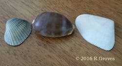 Port Stephens: A Trip to Nelson Bay: photo 1