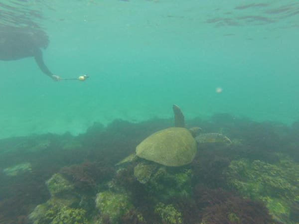 Backpacking through Islands:The Galapagos Islands: photo 3