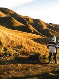 A Beginner’s 2-Day Itinerary for Mt. Pulag Ambangeg Trail Hike: photo 5