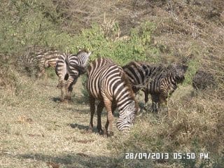 Get Ready to Explore the Heart of Africa: photo 2