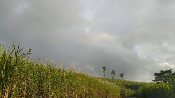 Mauritius: Somewhere In the Very Middle of the Ocean: photo 7