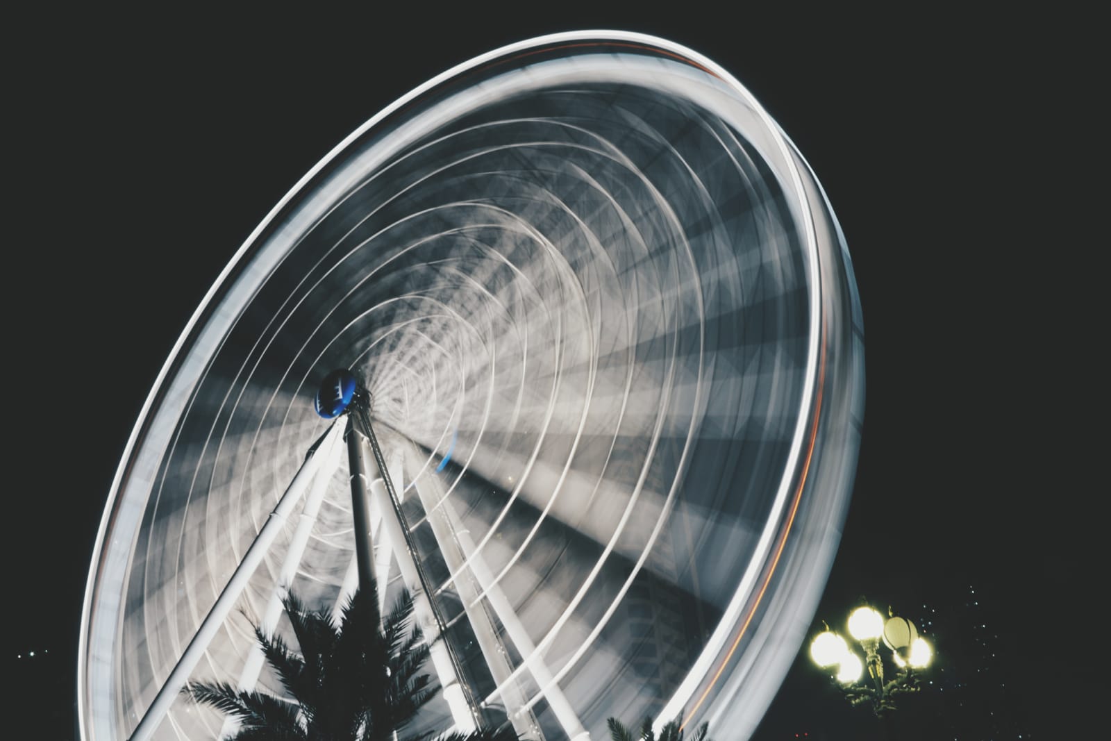 Things to do in Sharjah