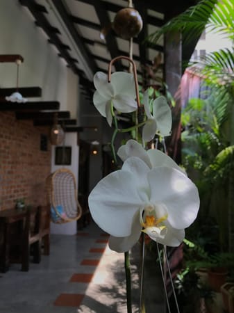 The Essential Guide to Georgetown, Penang (and Tips for More!): photo 1