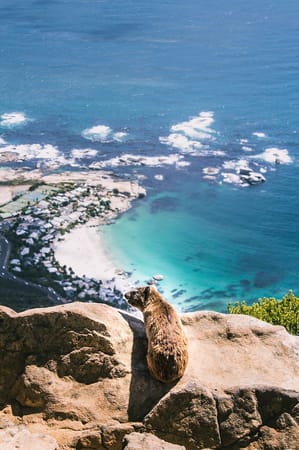 Mossel Bay, South Africa - A Traveler’s treasure: photo 4