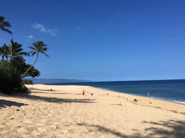 Best things to do in Oahu Hawaii: photo 1