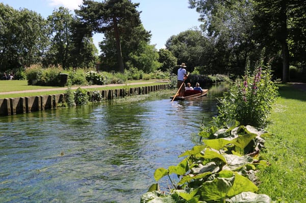 Top 7 Things to Do on Your Next Trip to Canterbury: photo 5
