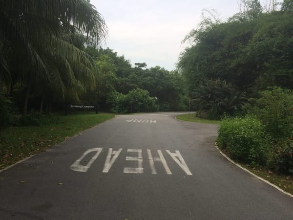 Singapore: Get Closer to Nature: photo 4