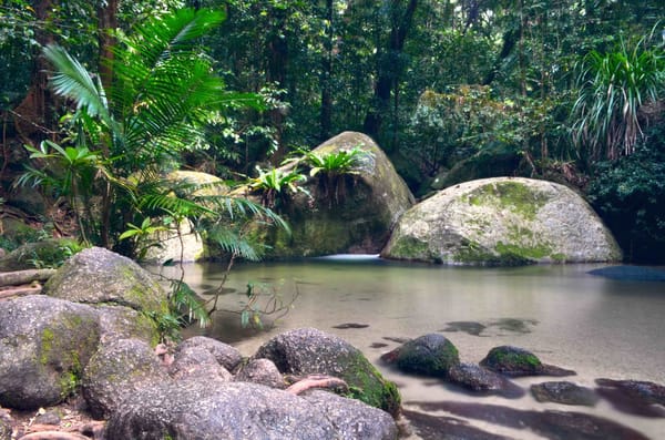 Australia: from Cairns to Cape Tribulation in just one day: photo 4