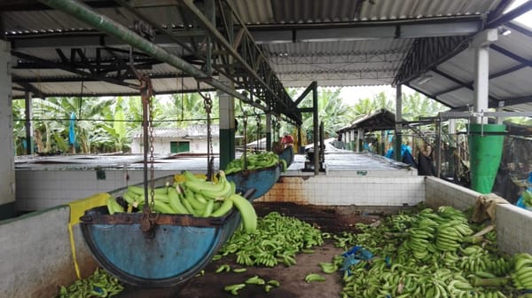 8 things you probably didn't know about small town Colombia: photo 2