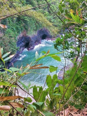 Adventure to Peechon Cove: photo 3