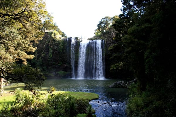 Whangarei - Beaches, Bush Walks and Sightseeing: photo 2