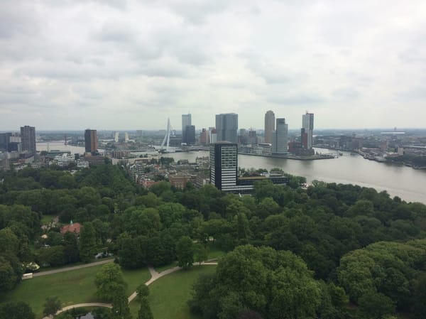Rotterdam: A Day Guide: photo 1