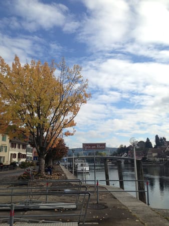Shaffhausen Full Of Water Power: photo 1