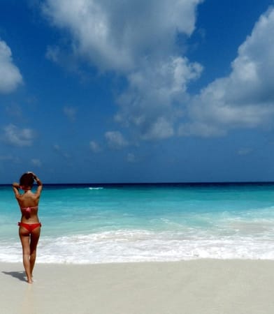 Welcome to paradise, discover Cancun!: photo 2