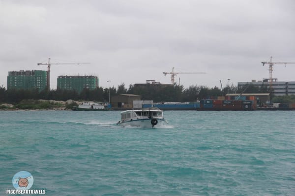 Maldives: The Tropical Paradise: photo 7