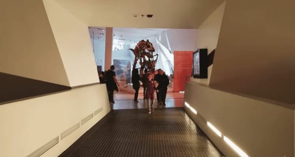A Visit to the Royal Ontario Museum, Toronto Canada: photo 3
