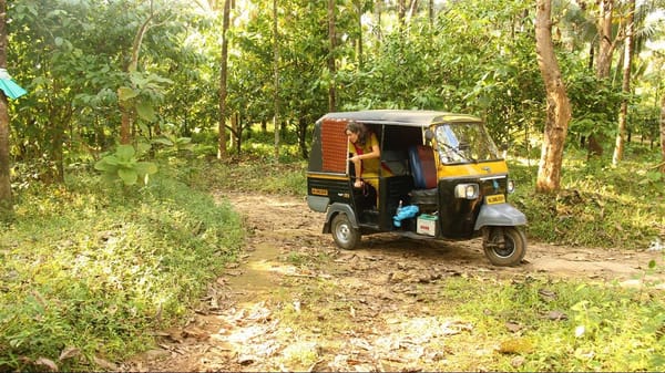 Travelling pregnant: 3 months in India: photo 9