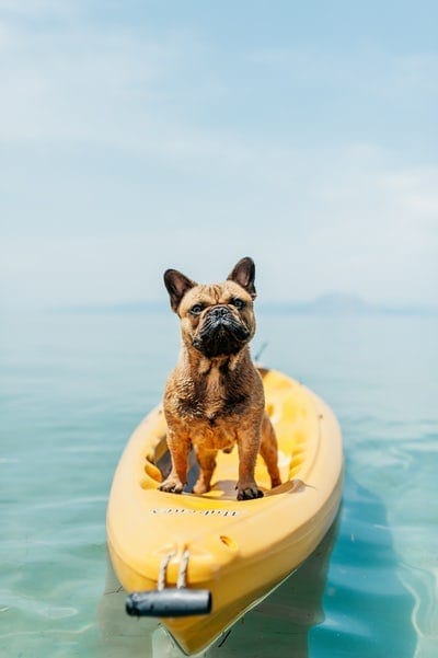Best Things To Do In Natal, Brazil