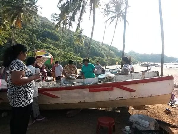 Goa: Living with locals: photo 4