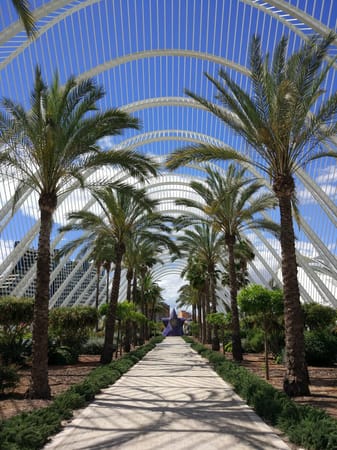 Top 5 must-see places in Valencia, Spain: photo 5