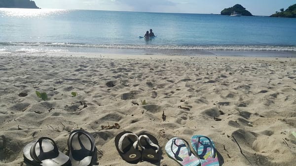 A Native’s Guide to The Island of Antigua: photo 2