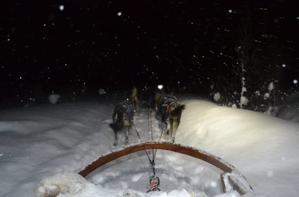 Why you should go to Norway during the winter.: photo 3