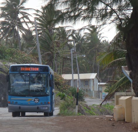 10 Reasons to Vacation in Barbados: photo 8