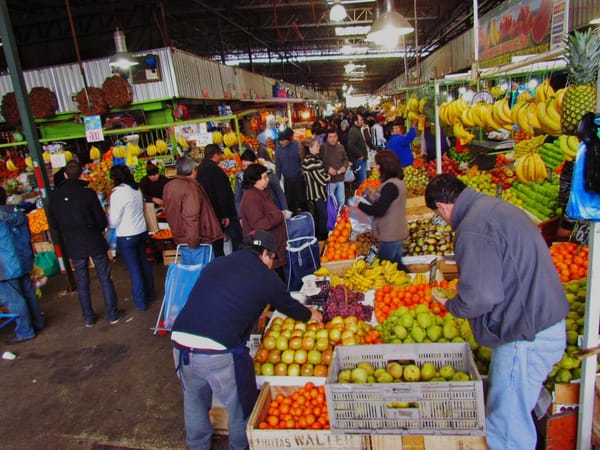 10 THINGS TO DO IN SANTIAGO DE CHILE: photo 8