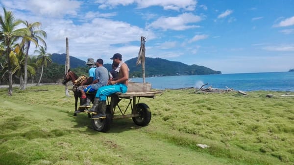 8 things you probably didn't know about small town Colombia: photo 6