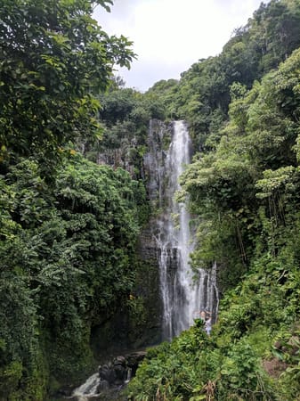 Maui’s Magical Bamboo Forest Along the Pipiwai Trail: photo 2