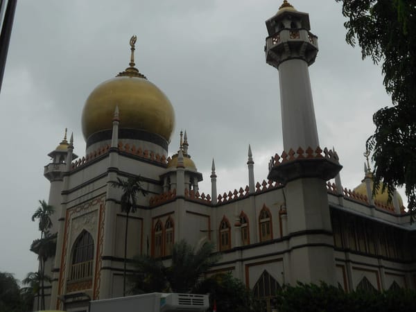 Singapore: one city, many cultures: photo 9