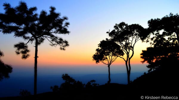 Off the Beaten Track in Thailand: Phu Kradeung National Park: photo 5