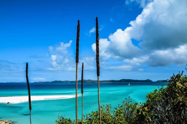 The Whitsunday Islands: Heart of the Great Barrier Reef: photo 1