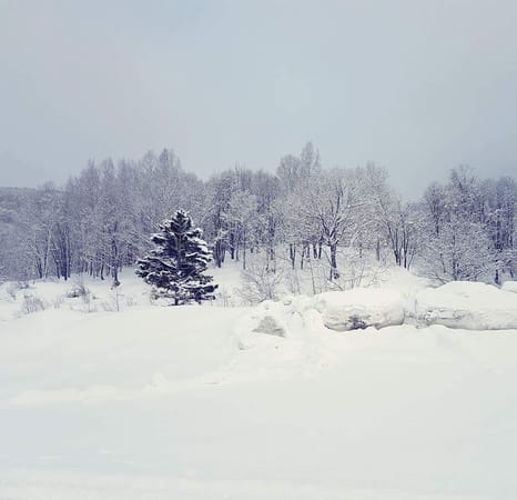 Niseko: a snow lovers dream: photo 3