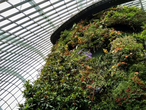 What to Cover on a 5-Day Trip to Singapore: photo 9