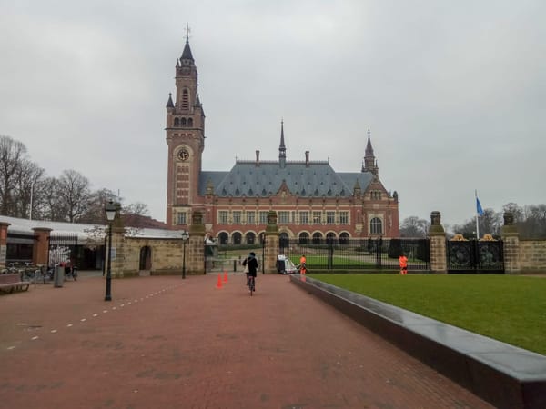 Top 5 cities to visit in the Netherlands: photo 14
