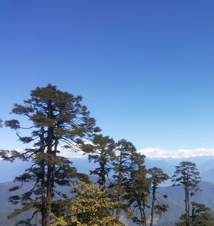 Travelling Solo in Bhutan: photo 1