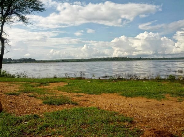 Explore Kushalnagar Like A Local: photo 6