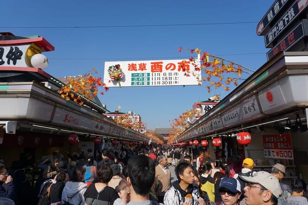 3 Days in Tokyo, Japan: A Travel Blog: photo 7