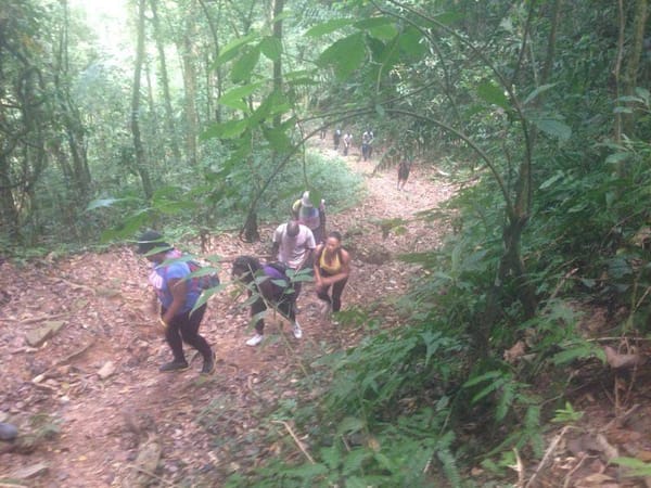 Conquering Paria the Perilous & Turtle Rock: Trinidad and Tobago: photo 24
