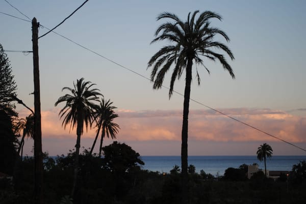 Sunny Side Up: An Insider's Guide to La Gomera's South: photo 11