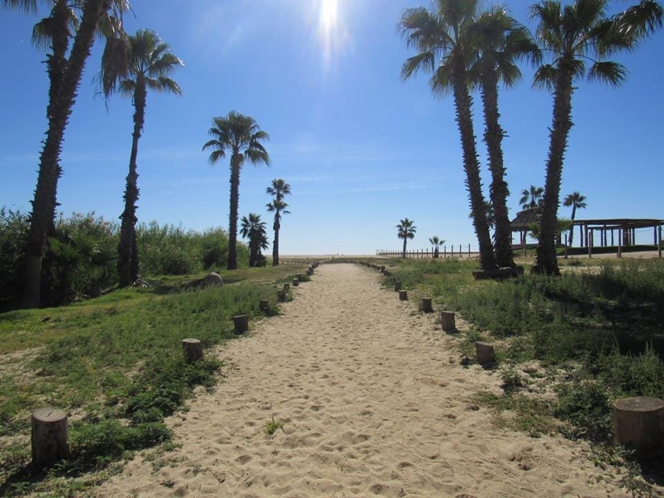Top 5 Best Things in San Jose del Cabo, Mexico