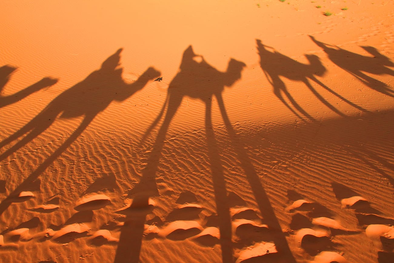 Merzouga Desert: Exploring Sahara On A Camel