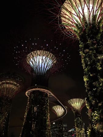 Singapore: 6 Popular Places to Visit in Singapore: photo 4